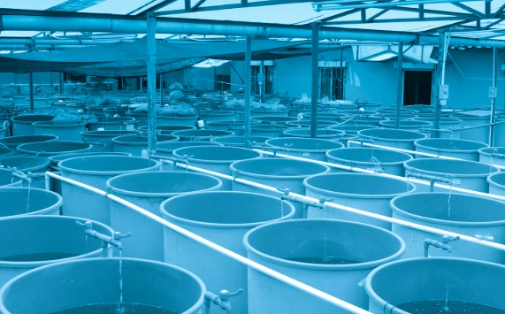 A New Model of Intensive Recirculating Aquaculture A New Model of Intensive Recirculating Aquaculture